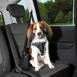 Trixie Köpek Emniyet Kemeri ve Göğüs Tasması 40-55 cm 17 mm Siyah S-M