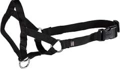 Trixie Uzman Köpek Eğitim Tasması S 22Cm