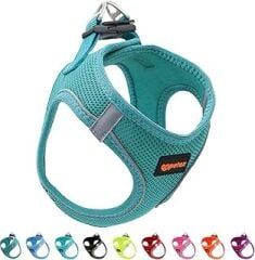 Catchy Pet Supplies Petex Köpek Göğüs Tasması, Küçük ve Orta Irk Köpekler için Tasma, Yavru Köpek Tasmaları, Sağlam, Boğmayan, Nefes Alabilen Air Mesh Köpek Göğüs Tasması (Viridiyen Yeşili, XXS)