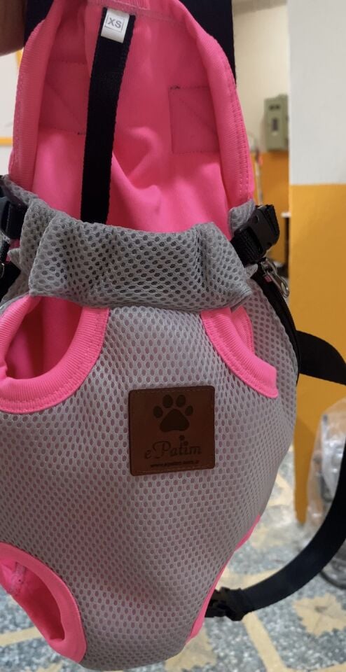 Kedi ve Köpek Ana Kucağı Karanfil Pembesi - M