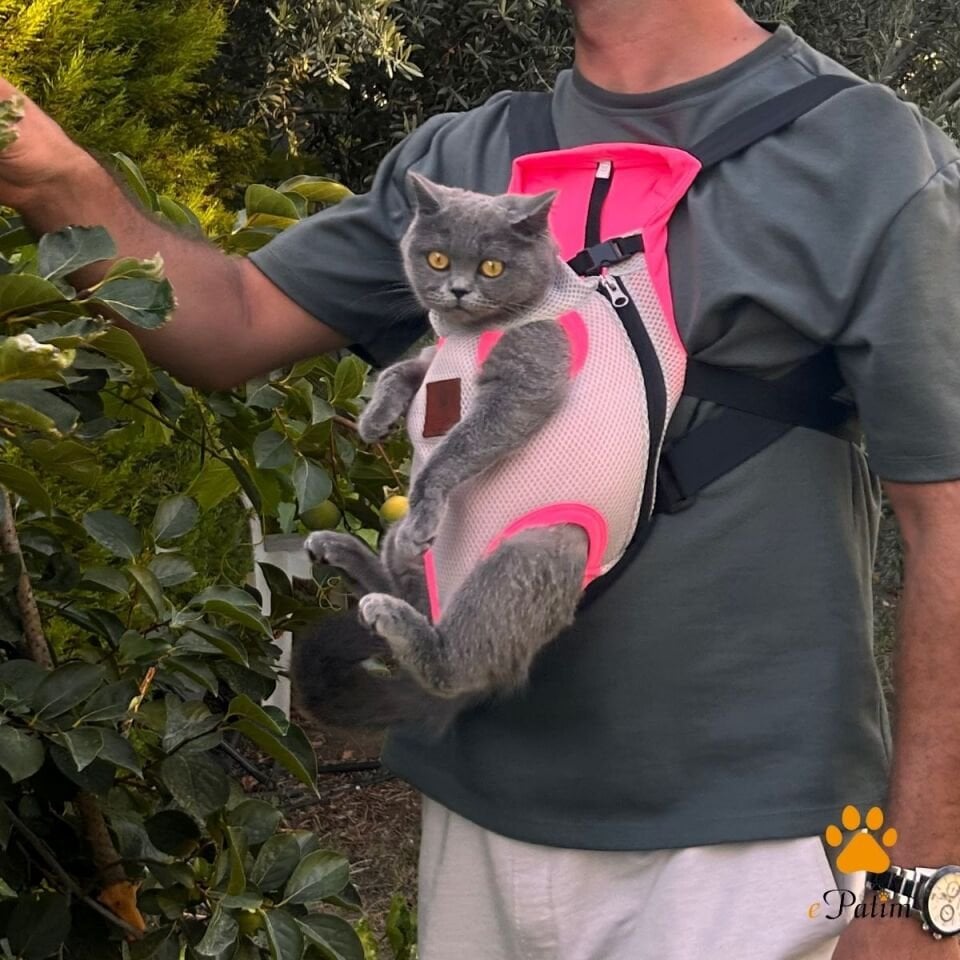Kedi ve Köpek Ana Kucağı Karanfil Pembesi - M