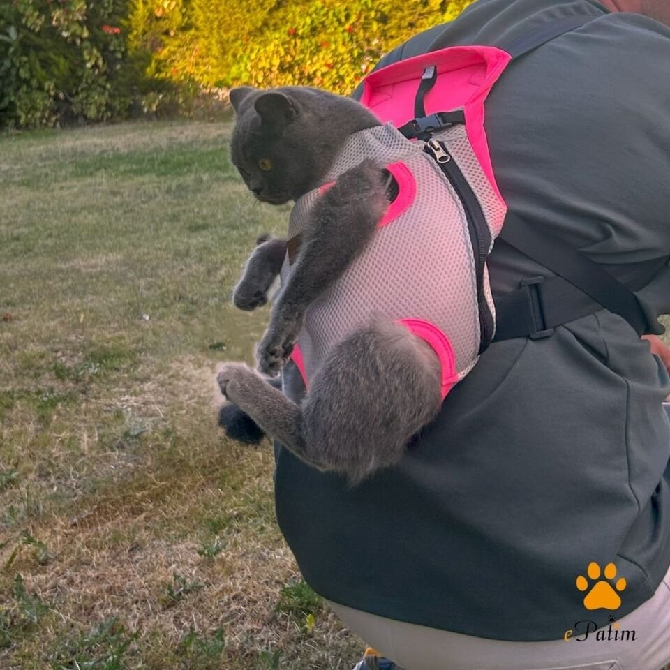 Kedi ve Köpek Ana Kucağı Karanfil Pembesi - M