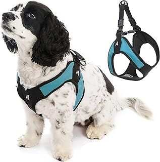 Gooby - Escape Free Easy Fit yemek takımı, yemek takımlarından kaçmayı seven küçük köpekler için Step-In yemek takımı, turkuaz, S beden