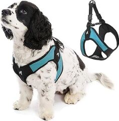Gooby - Escape Free Easy Fit yemek takımı, yemek takımlarından kaçmayı seven küçük köpekler için Step-In yemek takımı, turkuaz, S beden