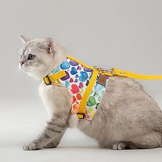 Kaçış Önleyici Kedi Gezdirme Tasması Ve Küçük Irk Köpek Gezdirme Tasması (Sarı Kalpli, L)