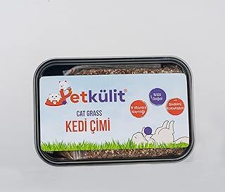 Petkülit Kedi Çimi - Siyah
