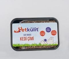 Petkülit Kedi Çimi - Siyah