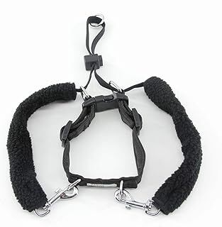 Pawise Dog Training L (1''x23-33'') Eğitim Tasması