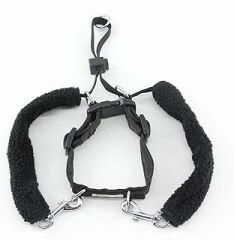 Pawise Dog Training L (1''x23-33'') Eğitim Tasması