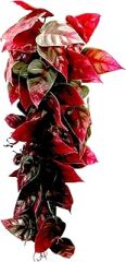 Penn-Plax Reptology sarmaşık bitkisi, sürüngen eraryum, 30,5 cm, kırmızı/yeşil