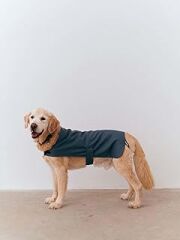 Bruno Society Kayışlı Köpek Yağmurluğu, Ufuk Mavisi, XS