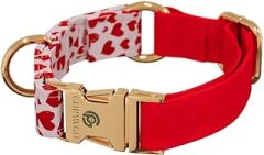 GOPAWGO Valentine Premium Renkli Köpek Tasması Metal Donanımlı | El Yapımı ve Dayanıklı | Yavru Köpekler için Ayarlanabilir ve Yumuşak (Küçük)