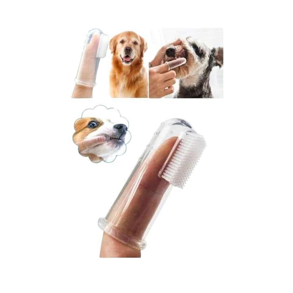 Kedi ve Köpek Bakım Hamağı + 3 lü set