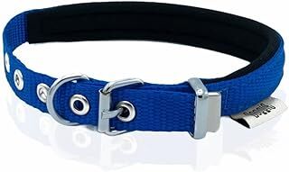 Doggie Konfor Dokuma Boyun Tasması Royalblue 1,5x25 30 Cm