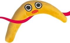 Cattooy Fun Education Toy BANAMOO ÇINGIRAKLI KEDİ OYUNCAĞI