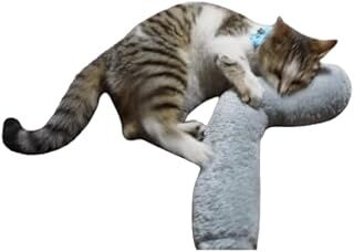 Tineke Kedi Oyuncağı Sarılma Yastığı Uyku Oyuncağı Kedi Otlu 30 Cm Peluş (1 Adet) (GRİ)