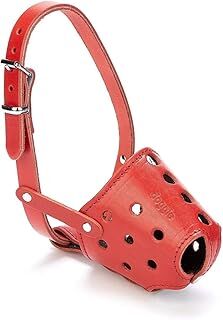 Doggie Eğitim Serisi Gerçek Deriden El Yapımı Kısa Burunlu Köpek Ağızlığı, M, 1,5x50-55 Cm, Kırmızı
