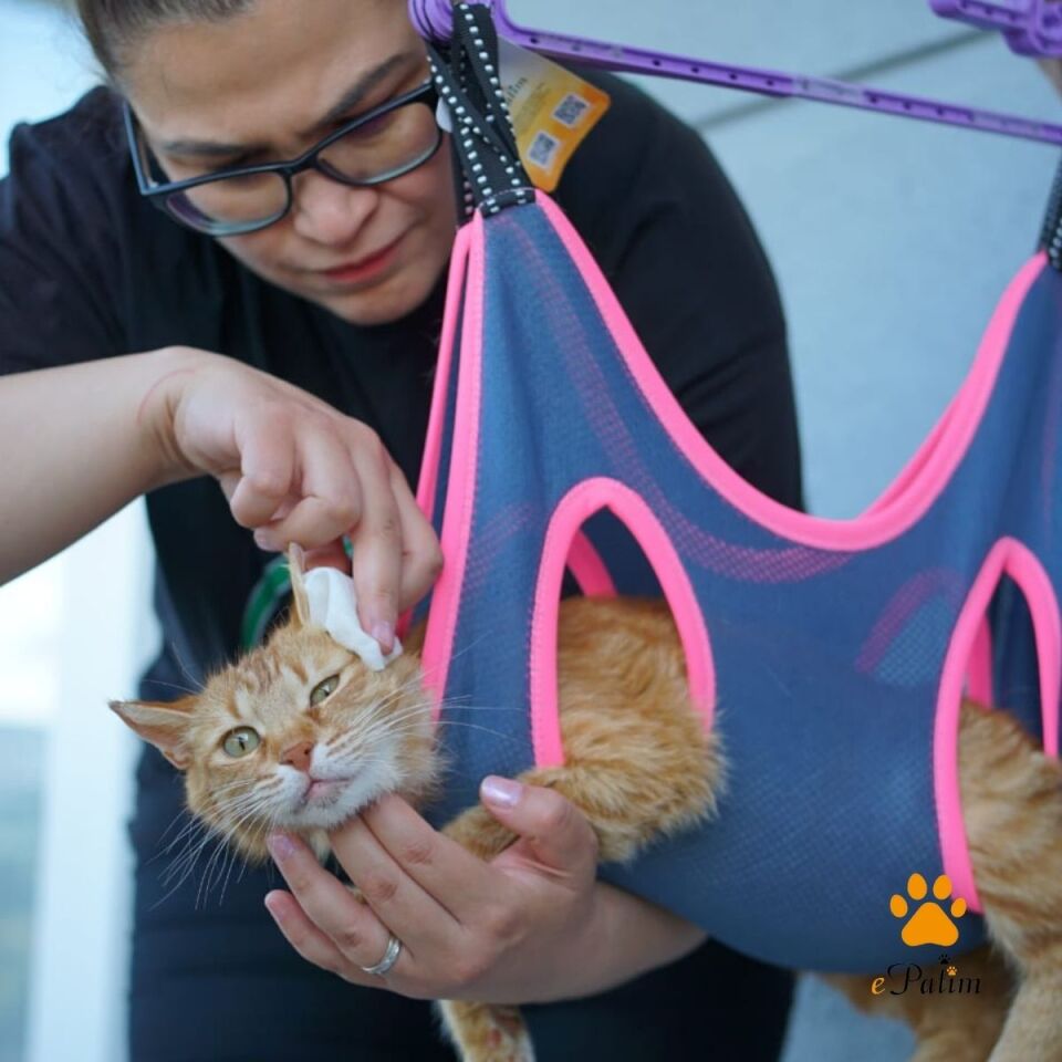 Kedi/Köpek Bakım Hamağı Koyu Gri - S
