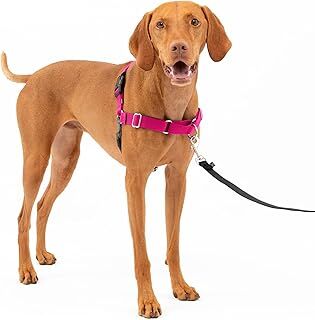 PetSafe Easy Walk No-Pull Köpek Göğüs Tasması, Çekmeyi Önlemeye Yardımcı, Kontrolü Ele Alın ve Tasmayla Daha İyi Yürümeyi Öğretin, Evcil Hayvanların Yürürken Çekmesini Önlemeye Yardımcı