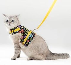 Patipatron Kaçış Önleyici Kedi Gezdirme Tasması Ve Küçük Irk Köpek Gezdirme Tasması (Sarı Patili, M)