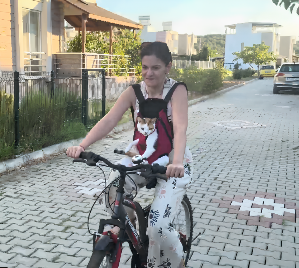 Kedi ve Köpek Ana Kucağı Vişne - S