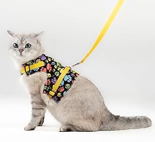 Patipatron Kaçış Önleyici Kedi Gezdirme Tasması Ve Küçük Irk Köpek Gezdirme Tasması (Sarı Patili, L)