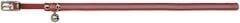 BEEZTEES Reflektör Kedi Boyun Tasması 31Cm Kırmızı, 556-730145