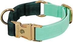 GOPAWGO Shelby Quick Release Premium Köpek Tasması | El Yapımı | Büyük ve Küçük Köpekler için Ayarlanabilir | Yavru Köpekler için Yumuşak (Büyük)