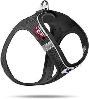 Curli Magnetic Vest Göğüs tasması Air-Mesh Black L