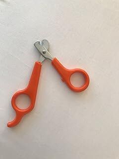 BEBEBEBEK Kedi Köpek Küçük Tırnak Makası 11 Cm X 6,5 Cm… (turuncu)