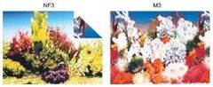 Kw Zone Pls.Poster 48 Cm 15 Mt, 200-NF3M3*ASD