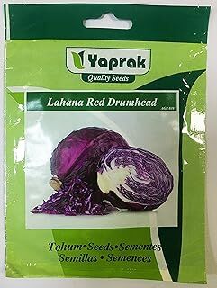 Yaprak Lahana Red Drumhead