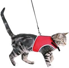 Trixie Kedi Göğüs Tasma Seti 24-42Cm/1. 20M