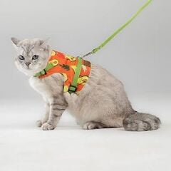 Patipatron Kaçış Önleyici Kedi Gezdirme Tasması Ve Küçük Irk Köpek Gezdirme Tasması (Avokado, XS)