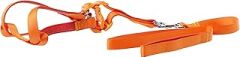 Euro Dog Köpek Uzatma Tasması+Göğüs Tasması 25mm 120cm Turuncu