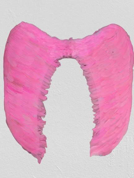 Mega Boy Pembe Renk Tüylü Melek Kanadı 100x85 cm