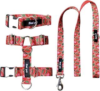 Jimi pet Tasma Seti Watermelon Model Large Beden