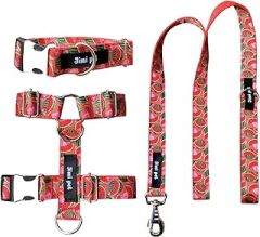Jimi pet Tasma Seti Watermelon Model Large Beden