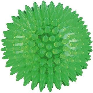 Trixie Köpek Termoplastik Kauçuk Kirpi Top 8 cm