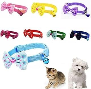 Papyon Tasarımlı Kedi Köpek Tasması