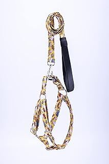 estapet Boom Easy Walk Köpek Göğüs Tasması ve UZatma Kayışı Takımı (XS)