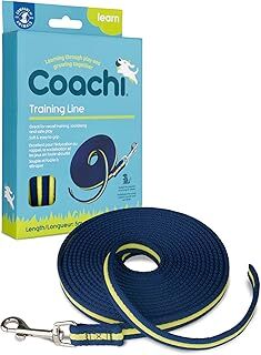 Company of Animals Coachi Eğitim Hattı 5m, Açık Havada Güvenli Eğitim, Geri Çağırma Eğitimi, Köpek ve Yavru Sosyalleşme, Hafif, Tutması Yumuşak, Küçük ve Orta Ölçekli Köpekler ve Yavru Köpekler için Uygun, Deniz