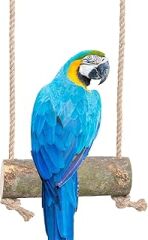 X-Perk Papağan Kuş Salıncağı Tüneği Kuş Tünek Dğal Ağaç Tünek Kuş Salıncak