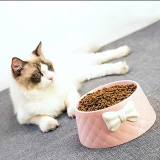 emey e-ticaret Kedi Ve Köpek Papyon Desenli Mama Ve Su Kabı (PEMBE)