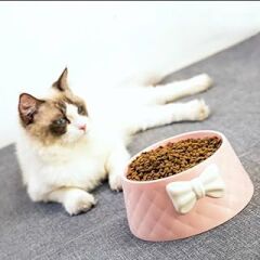 emey e-ticaret Kedi Ve Köpek Papyon Desenli Mama Ve Su Kabı (PEMBE)