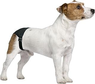 Pawise Köpek Külodu No:5