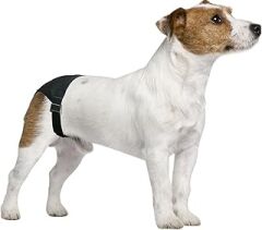 Pawise Köpek Külodu No:5
