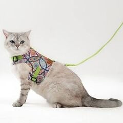Patipatron Kaçış Önleyici Kedi Gezdirme Tasması Ve Küçük Irk Köpek Gezdirme Tasması (Etnik Yeşil, XS)