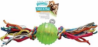 Pawise Toplu Diş İpi Köpek Oyuncağı 24 cm