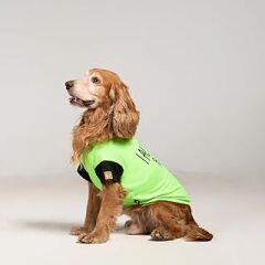SALYA STORE I Always With You - Yazlık Köpek T-shirt (Küçük ırklar için 0-15kg) (Medium)